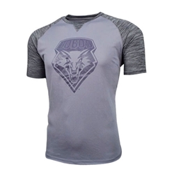 Men's Champion T-shirt Lobos Shield Gray