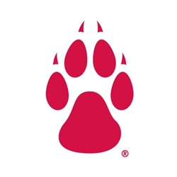 SDS Dizzler Decal UNM  Small Paw