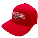 Youth The Game Cap Side Lobo Red