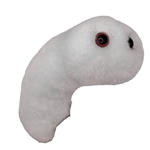 Drew Oliver's Giant Microbes Pus