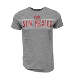 Men's Champion T-Shirt New Mexico Heather