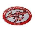 Car Magnet 6" UNM Dad