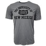 Men's Champion T-Shirt Athletic UNM 1889 Active Grey