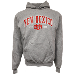 Men's Champion Hoodie NM UNM 1889 Heather Grey