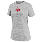 Woman's Nike BCS Velocity T-shirt Unm Gray