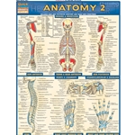 Anatomy 2 - Reference Guide (8. 5 X 11)