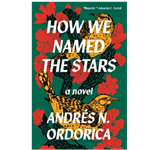 How We Named the Stars