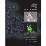 BROCKS BIOLOGY OF MICROORGANISMS 10/E