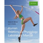 HUMAN ANAT.+PHYS.LAB.MAN.-MAIN VER.