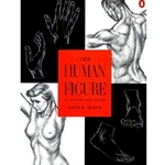 HUMAN FIGURE