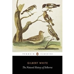 NATURAL HISTORY OF SELBORNE
