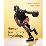 (ML) HUMAN ANATOMY & PHYSIOLOGY 10/E