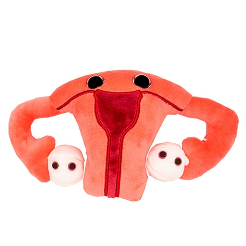 Unm Bookstore Drew Olivers Giant Microbes Uterus