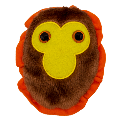 Unm Bookstore Drew Olivers Giant Microbes Monkey Pox