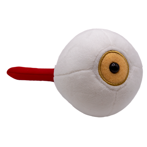 Unm Bookstore Drew Olivers Giant Microbes Eye