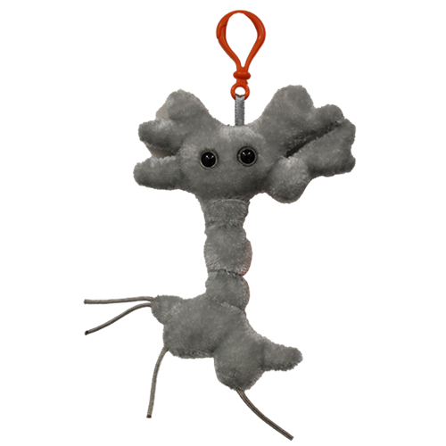 Unm Bookstore Giant Microbe Keychain Brain Cell