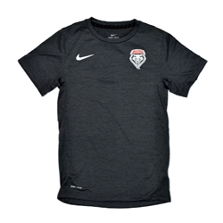 Youth Nike T-Shirt UNM Shield Grey