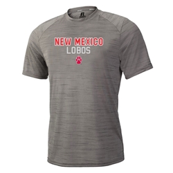 Women's Russell T-Shirt New Mexico Lobos & Paw Grey
