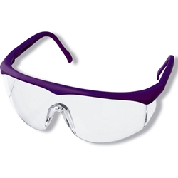 Colored Full Frame Adjustable Eyeware Purple