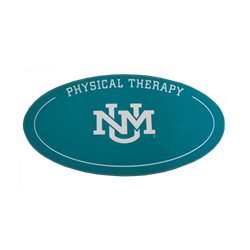 Colorshock Automotive Decal UNM Interlocking Physical Therapy Turquoise