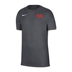 Men's Nike T-shirt UNM Interlocking Grey