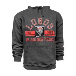 Unisex Ouray Hood We Are New Mexico Graphite