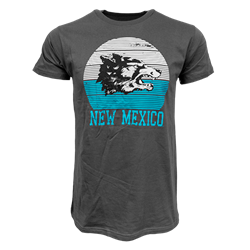 Unisex CIS T-Shirt New Mexico Charcoal
