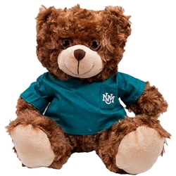 Plush 11" Chocolate Bear