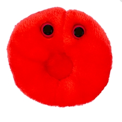 Drew Oliver's Giant Microbes Red Blood Cell (Erythrocyte)