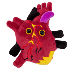 Drew Oliver's Giant Microbes Heart Disease