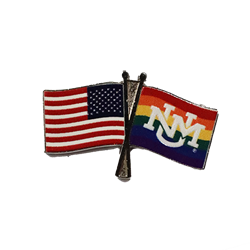 SPL Crossed Pride Flag Lapel Pin