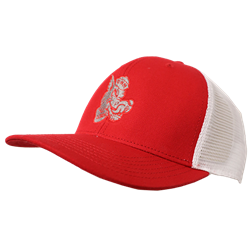 Unisex Legacy Cap Vintage Louie Scarlet/White