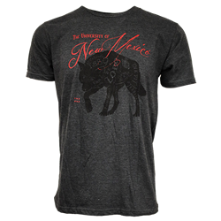 Unisex T-Shirt UNM Heather Charcoal