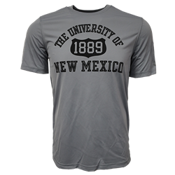 Men's Champion T-Shirt Athletic UNM 1889 Active Grey