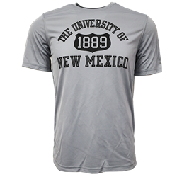 Men's Champion Crew T-Shirt UNM Red