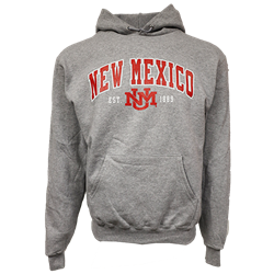 Men's Champion Hoodie NM UNM 1889 Heather Grey