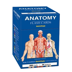 Anatomy Flash Cards