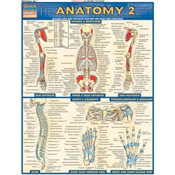 Anatomy 2 - Reference Guide (8. 5 X 11)