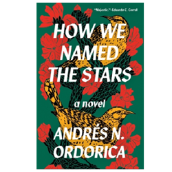 How We Named the Stars