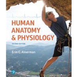 HUMAN ANATOMY & PHYSIOLOGY (W/OUT ACCESS CARD)