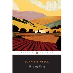 LONG VALLEY