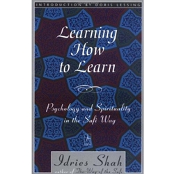 LEARNING HOW TO LEARN