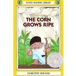 CORN GROWS RIPE