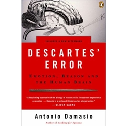 DESCARTES' ERROR