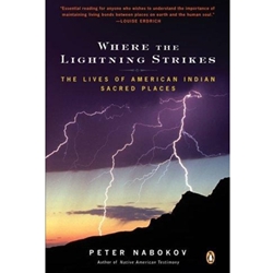 WHERE THE LIGHTNING STRIKES