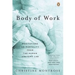 BODY OF WORK
